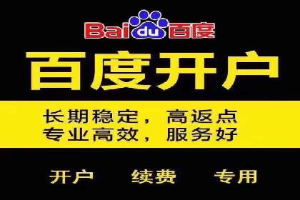 SEM推广策略：成功案例解析与效果评估