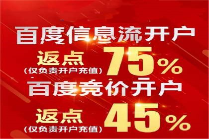 提升转化率：SEM竞价专员的案例研究